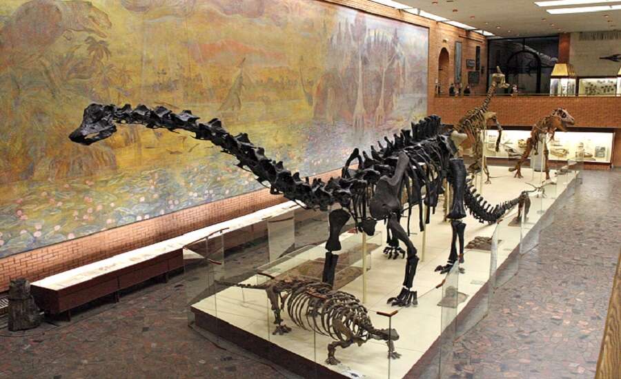 Orlov Museum of Palaeontology