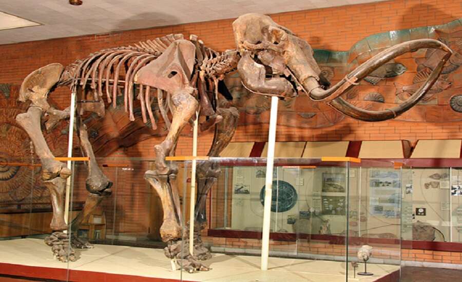 Orlov Museum of Palaeontology, Moscow