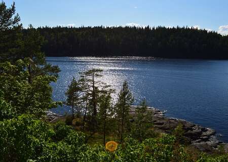Ladoga Lake, Russia
Photo by Светлана Гончарова website Pixabay 