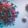 Coronavirus in Russia: Weekly Updates