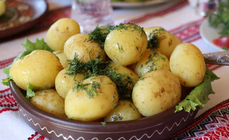 History of Russian cuisine - potato