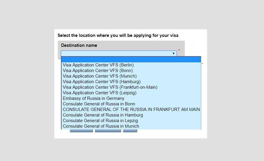 How to Fill In Your Russian Visa Application - Which institution are you going to visit