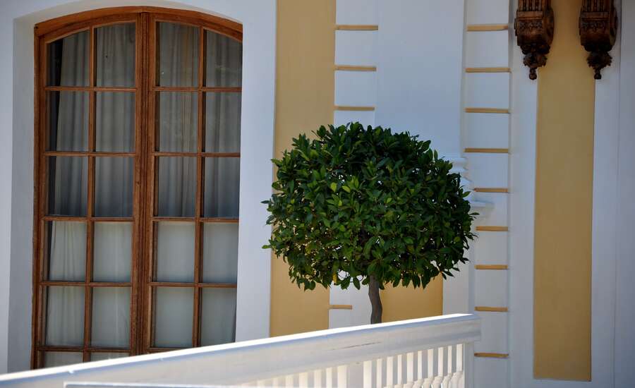 Monplaisir, Peterhof