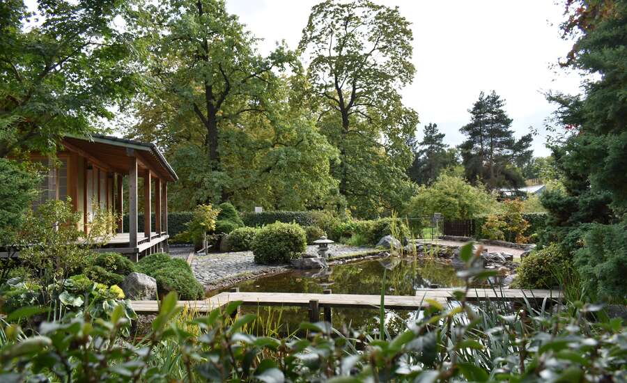 Botanical Gardens, Komarov college