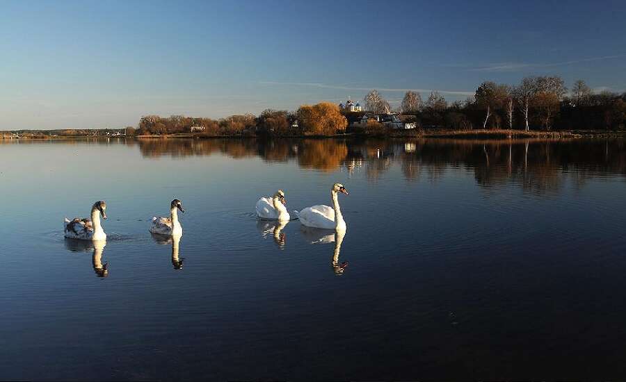 Primorsky Victory Park, pond