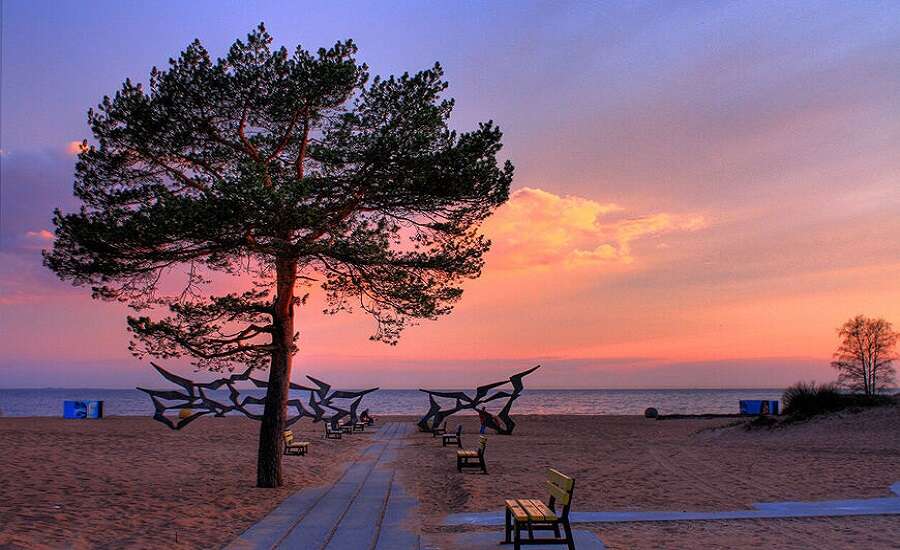 to Swim near St Petersburg, Laskovy Beach