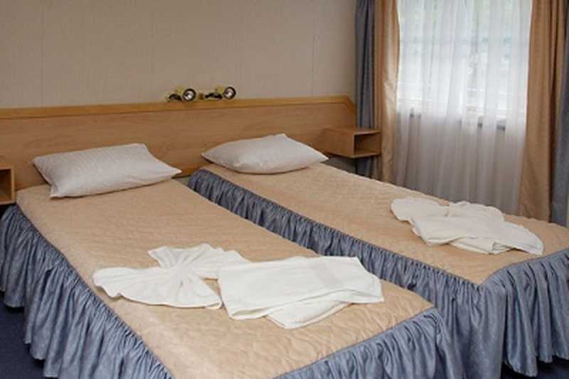 MS Surikov Junior Suite cabin twin bed