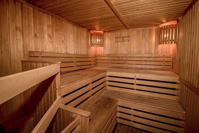 MS Nikolay Chernyshevsky sauna
