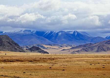 Mongolia landscapes