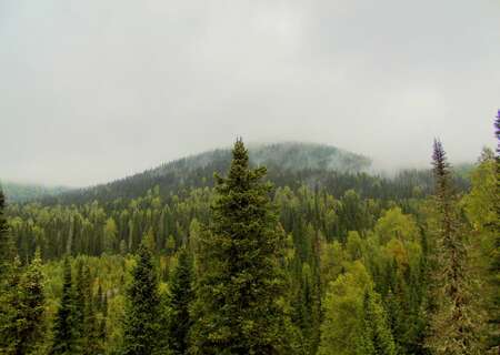 Landscape, Russia