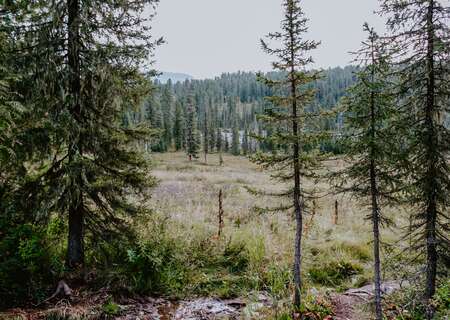 Landscape, Russia