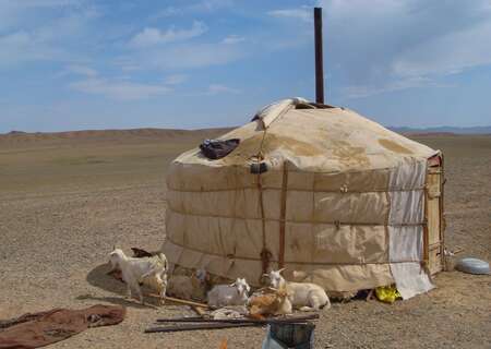 Mongolian settlement