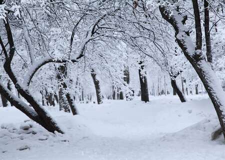 The Tsaritsyno park, Moscow, Russia