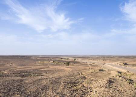 The Gobi Desert