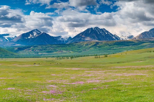 Trans-Mongolian Trains